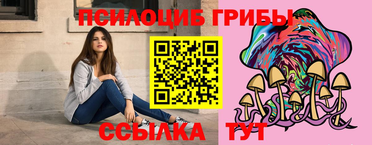 Псилоцибиновые грибы мицелий Уфа